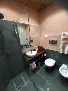 uma casa de banho com um chuveiro, um lavatório e um WC. em Azienda Agricola Il Querceto em Marsico Vetere