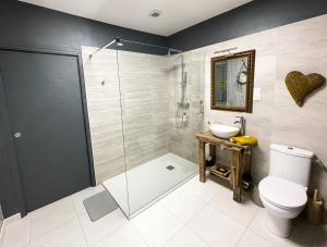a bathroom with a shower and a toilet and a sink at Suite privative terrasse in Alençon