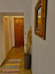 einen Flur mit Spiegel und eine Vase mit Pflanze in der Unterkunft Grande Familia Apartman in Eger
