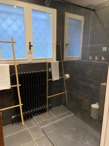 baño con ducha a ras de suelo y puerta de cristal en La casa du Cerisier en Veyrier-du-Lac