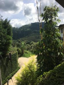 a tree with a view of a mountain at Skyloft Hostel in Kandy