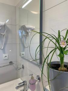a bathroom sink with a potted plant and a mirror at Ubytování U Křivánků in Telč