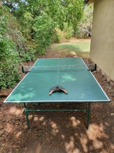 a ping pong table with a bat on top of it at Budatava nyaraló in Balatonalmádi