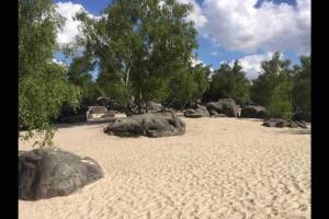a sandy beach with rocks and trees in the background at Milly COCOON / centre ville in Milly-la-Forêt
