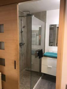 a bathroom with a shower with a glass door at Milly COCOON / centre ville in Milly-la-Forêt