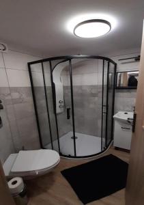 Kúpeľňa v ubytovaní Zakopartment Zamoyskiego