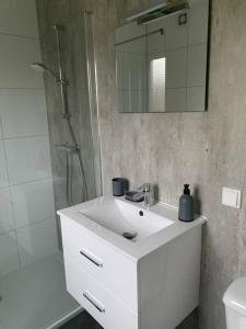 a bathroom with a white sink and a shower at Luxus Chalet Waterfront in Lathum