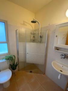 a bathroom with a shower and a toilet and a sink at O&B Hospitality - אירוח אלף בית in Dafna