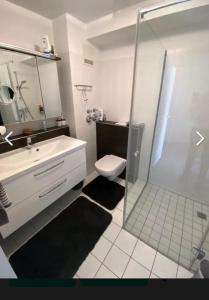ein Bad mit einer Dusche, einem Waschbecken und einem WC in der Unterkunft Harztraum-5 in Braunlage