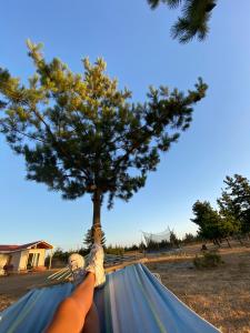 Fotografie z fotogalerie ubytování Cabañitas Zelada v destinaci Algarrobo