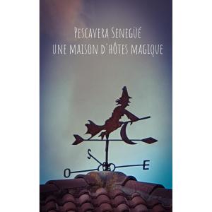 uma capa de livro de uma bruxa numa vassoura no topo de um telhado em CASA PESCA VERA em Senegüé