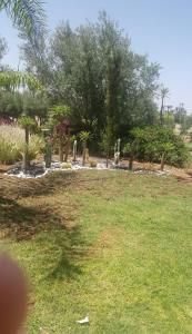 park z palmami i trawnikiem w obiekcie marrakech palmeraie village Etablissement jasmin w Marakeszu
