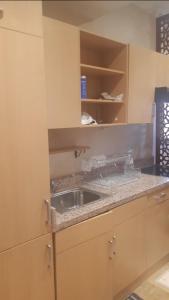 马拉喀什marrakech palmeraie village Etablissement jasmin的带水槽和台面的厨房