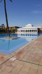 a swimming pool with a palm tree and a building at marrakech palmeraie village Etablissement jasmin in Marrakech