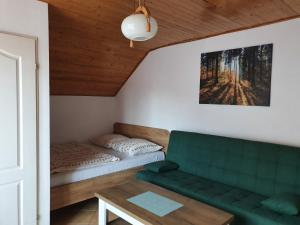 a living room with a green couch and a bed at Willa OLA in Karpacz