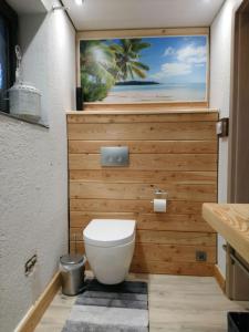 a bathroom with a toilet with a picture on the wall at Fichtelgebirgshaus in Fichtelberg