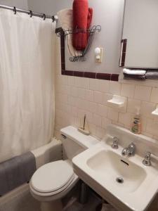 a bathroom with a white toilet and a sink at Riverfront Loft Apt A in Salisbury