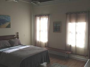 een slaapkamer met 2 ramen en een bed erin bij Loft Apartment w River Views in Salisbury