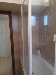 een badkamer met een douche en een bad bij B&b Rosy in Burago di Molgora