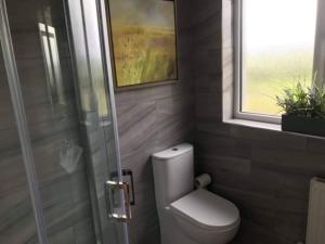 a bathroom with a toilet and a glass shower at 'Little Acre' perfect for business or pleasure in Portadown