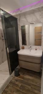ein Badezimmer mit einem Waschbecken, einer Badewanne und einem Spiegel in der Unterkunft T2 tout confort climatisé de Lilou in Aix-en-Provence