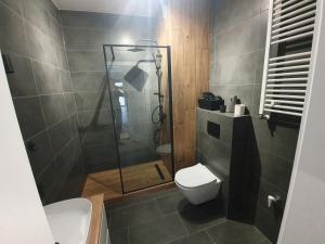 a bathroom with a shower and a toilet at Premium Apartaments-Chociszewskiego 6 c in Leszno