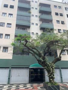 uma árvore em frente a um edifício alto em Lindo apto reformado no coração de BC no Balneário Camboriú