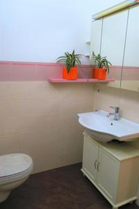 a bathroom with a sink and a toilet at Appartement Piave, Meran Zentrum, mit Garage in Merano