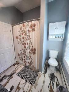 a bathroom with a shower curtain and a toilet at Newly updated 3 bedrooms luxury house in Worcester