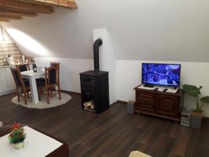TV a/nebo společenská místnost v ubytování Čivova brvnara