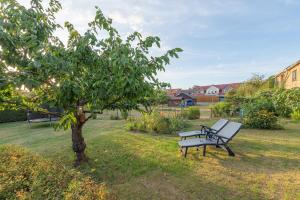 a park bench next to a tree in a yard at Ferienwohnung Gartenliebe in Waren