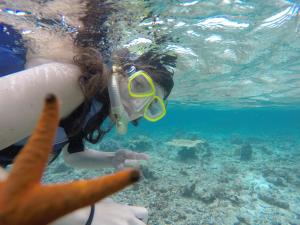 a person in a snorkelling mask swimming in the water at Crystal Sands in Maafushi