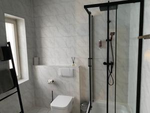 ein Badezimmer mit Dusche und Toilette in der Unterkunft Bärliner Hotel in Erfurt