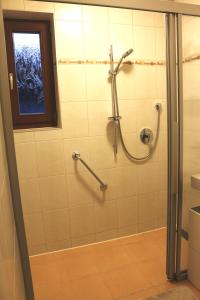 a shower stall in a bathroom with a window at Well Ranch in Edelschrott
