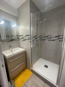 a bathroom with a shower and a sink at Le Belvédère Dernier étage avec terrasse WIFI FIBRE in Tarbes