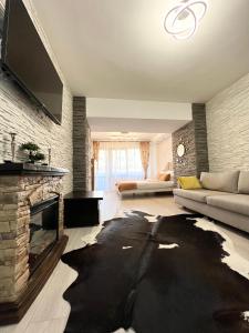 a living room with a couch and a fireplace at Studio Enis in Poiana Brasov
