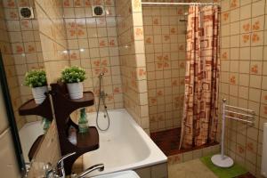 ein Badezimmer mit einem Waschbecken, einer Badewanne und einer Dusche in der Unterkunft Dům v Českém ráji in Dolní Bousov