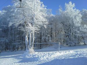 ein schneebedeckter Baum mit einem Tor auf einem Feld in der Unterkunft Bergsteiger in Sandberg