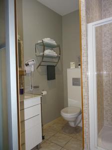 a bathroom with a toilet and a shower at La ferme aux chats in Formigny