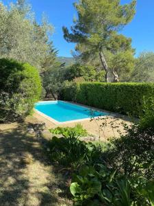 une piscine au milieu d'un jardin dans l'établissement Maison de Famille Les 4 Vents, à Peymeinade