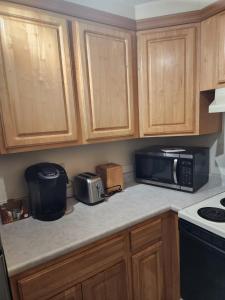 a kitchen counter with a microwave and a toaster oven at Modern Cozy two bedroom apartment with off-street Parking in Worcester