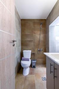 uma casa de banho com um WC e um chuveiro em Renovated 2BD house close to Pireus port em Piraeus
