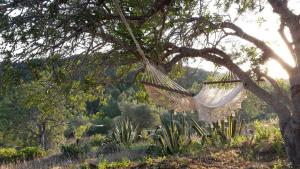 een hangmat hangend aan een boom in een veld bij Mas de Mingall in Les tres Cales