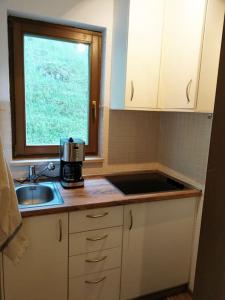 Una pequeña cocina con fregadero y ventana. en Ferienwohnung Waldrand, en Todtmoos 16 fotos más