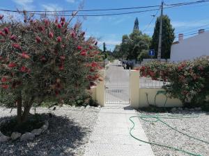 Afbeelding uit fotogalerij van Casa da Carrasqueira - Sesimbra in Sesimbra