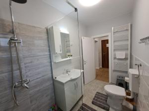 a bathroom with a toilet and a sink and a shower at Apartments Manna Palic in Palić
