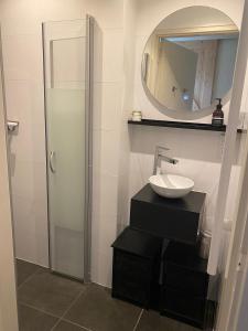 een badkamer met een wastafel en een spiegel bij Statige boerderijwoning met vrij uitzicht en tuin in Hoogzand