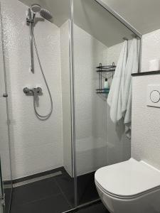 Kúpeľňa v ubytovaní Studio Apartment Nani Centar