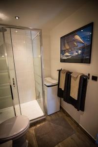 uma casa de banho com chuveiro, WC e toalhas em Appartement avec Rivière privative em Tourrettes