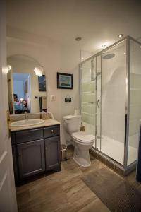 uma casa de banho com um WC, um lavatório e um chuveiro em Appartement avec Rivière privative em Tourrettes